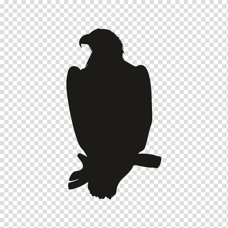 Eagle Logo, Bird, Sticker, Decal, Ironon, Silhouette, Beak, Bald Eagle transparent background PNG clipart