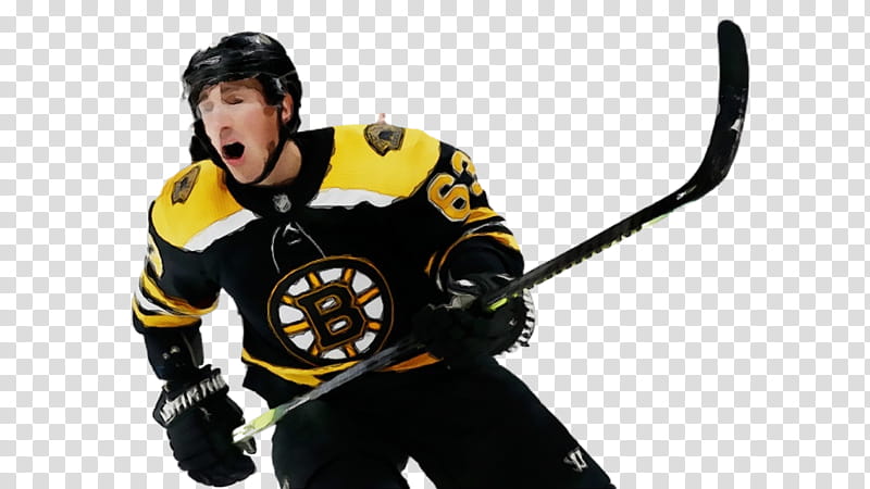 Ice, Boston Bruins, National Hockey League, Toronto Maple Leafs, Ice Hockey, Buffalo Sabres, Sports, Goal transparent background PNG clipart