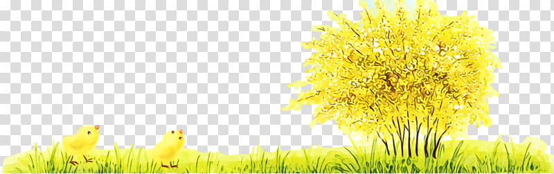 yellow grass dandelion dandelion plant, Watercolor, Paint, Wet Ink, Meadow, Grass Family, Pollen, Flower transparent background PNG clipart