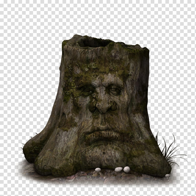 Stump  transparent background PNG clipart