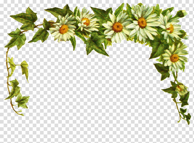 Common daisy Flower Transparency GIF Sticker, Plants, Leaf, Ivy, Wildflower, Holly, Ivy Family transparent background PNG clipart