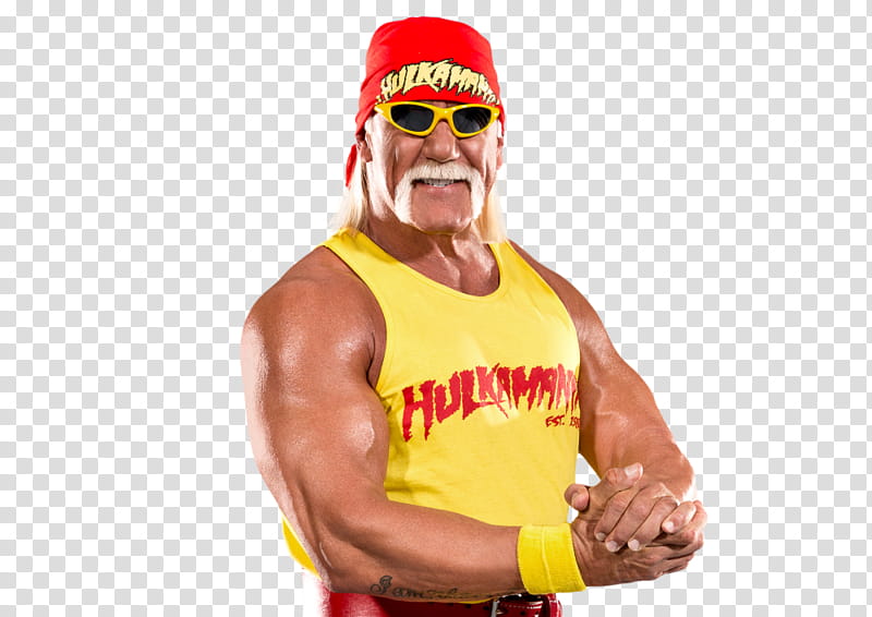 Hulk Hogan Render transparent background PNG clipart