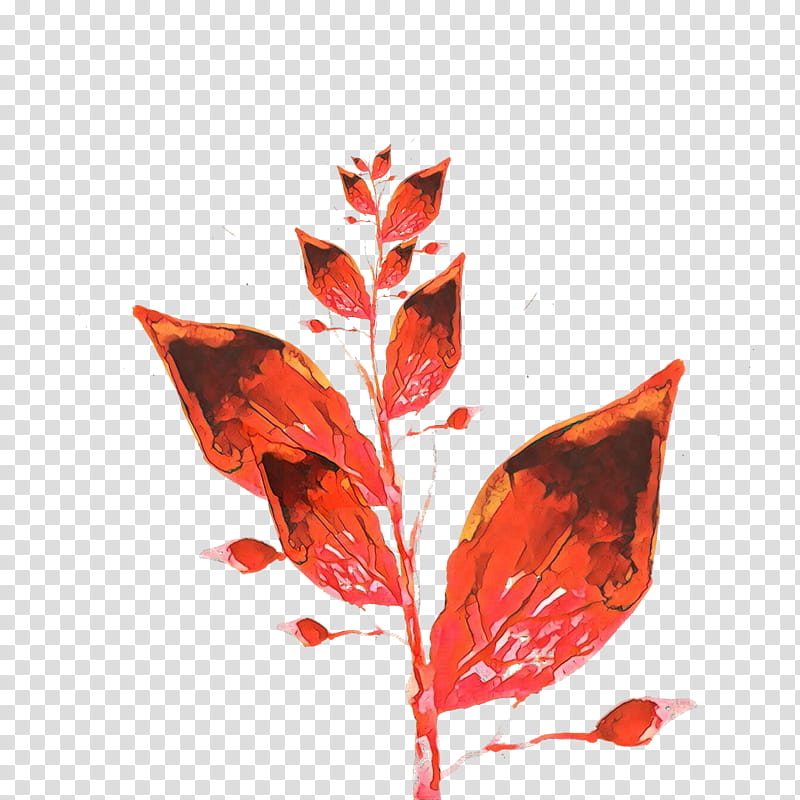 leaf red plant flower tree, Cartoon, Flowering Plant, Coquelicot transparent background PNG clipart