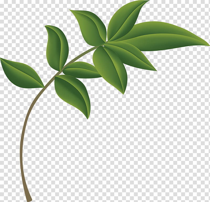 Tulip Flower, Plants, Leaf, Ceiling, Plant Stem, Price, Tree transparent background PNG clipart
