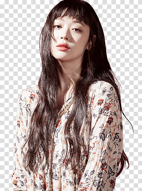 Sulli P transparent background PNG clipart