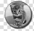 Kitty Cat Pin Button ( Spilletta) transparent background PNG clipart