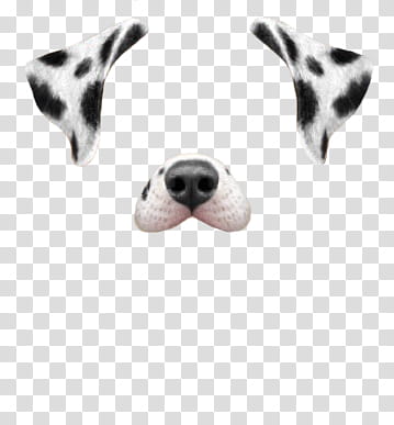 snapchat Filters Filtros o efectos de Snapchat, dog snap chat application transparent background PNG clipart