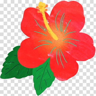 POWER UP , red hibiscus flower transparent background PNG clipart