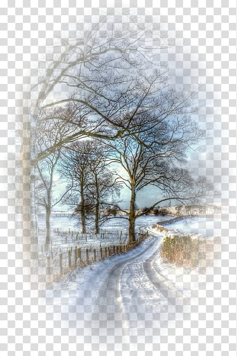 Cartoon Nature, Winter
, Snow, Road, Winter Road, Beautiful Winter, Landscape, Tree transparent background PNG clipart