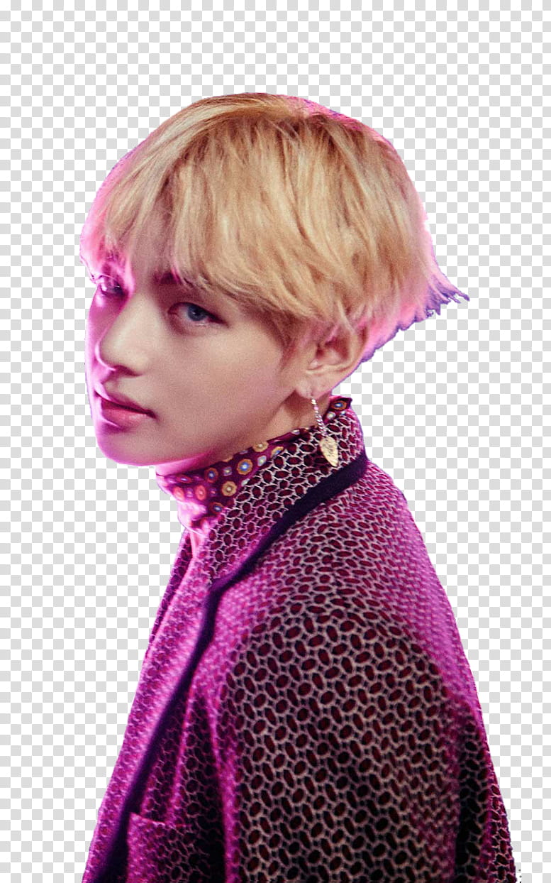 Bts Love Yourself, Wings, Stigma, Blood Sweat Tears, Kpop, Love Yourself Tear, Musician, Love Yourself Her transparent background PNG clipart