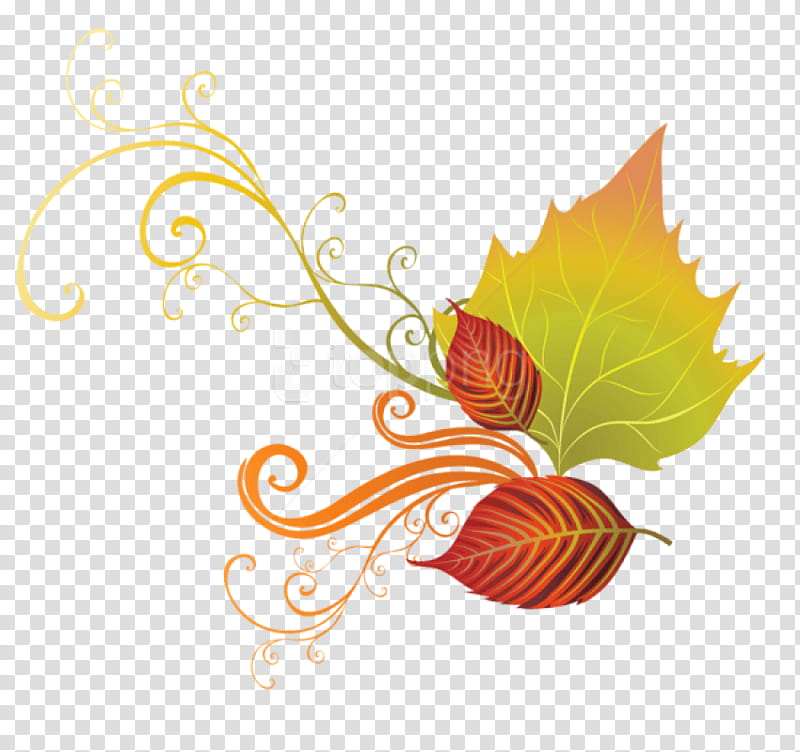 Autumn Leaf Drawing, Thanksgiving, Autumn Leaf Color, Orange, Plant, Ornament, Floral Design, Plane transparent background PNG clipart