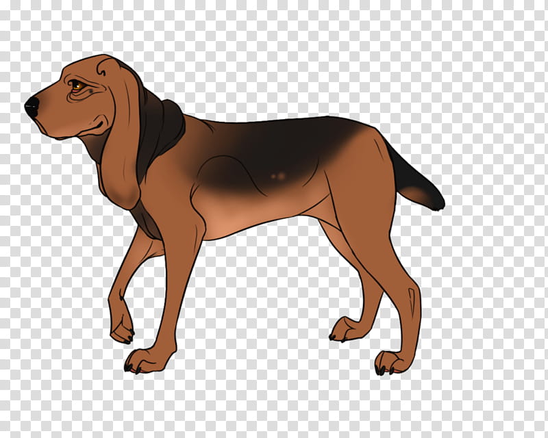 Cartoon Dog, Redbone Coonhound, Cartoon, Sleeve, Breed transparent background PNG clipart