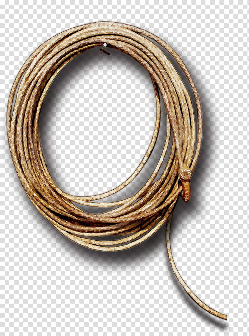 cowboy rope png