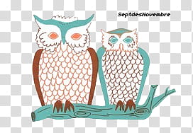 Buhos, two teal and brown owls graphic screenshot with text overlay transparent background PNG clipart