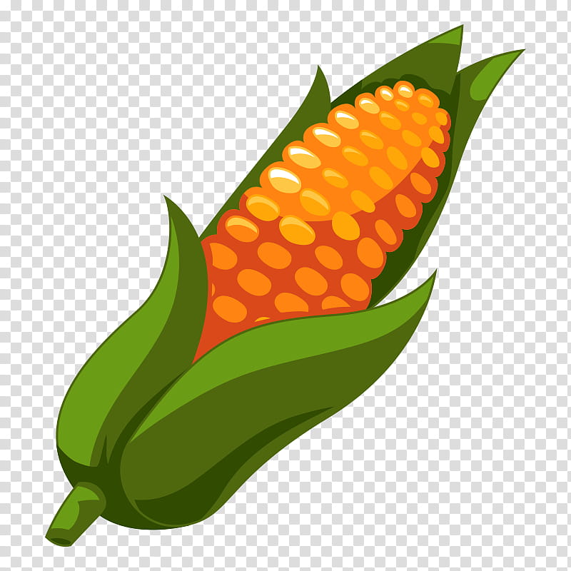 Corn, Corn On The Cob, Food, Vegetable, Sweet Corn, Logo, Field Corn, Corn Tortilla transparent background PNG clipart