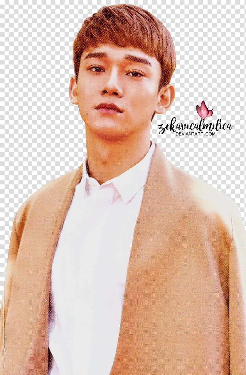 EXO Nature Republic, man wearing brown formal coat transparent background PNG clipart