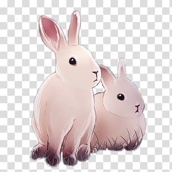 Little, two brown rabbits illustration transparent background PNG clipart