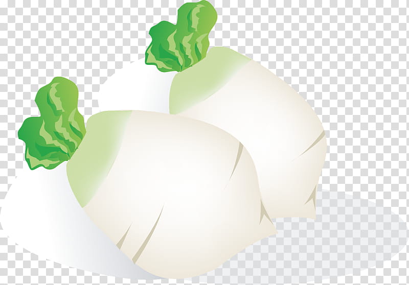 Vegetables, Daikon, Turnip, Root Vegetables, Rutabaga, Aubergines, Legume, Bean transparent background PNG clipart