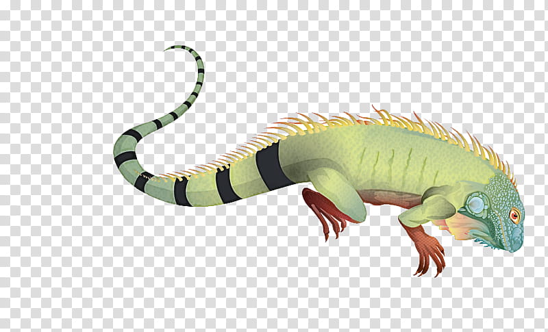 reptile animal figure scaled reptile lizard iguana, Tail transparent background PNG clipart