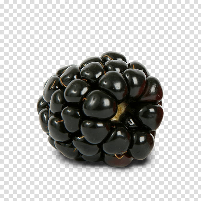 Pie, Blackberry Pie, Brambles, Raspberry, Berries, Fruit, Boysenberry, Plant transparent background PNG clipart