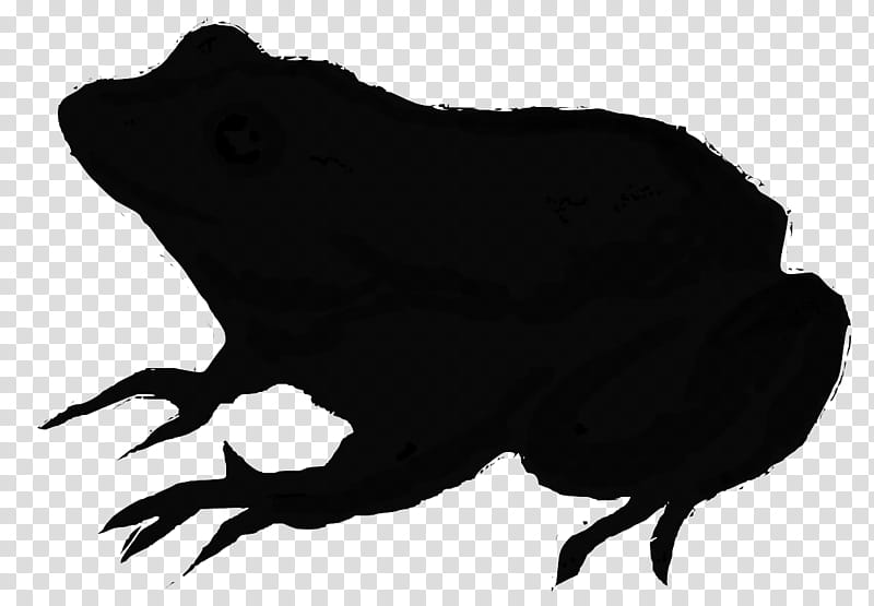 Frog, Silhouette, Beak, Black M, Toad, Bufo transparent background PNG clipart