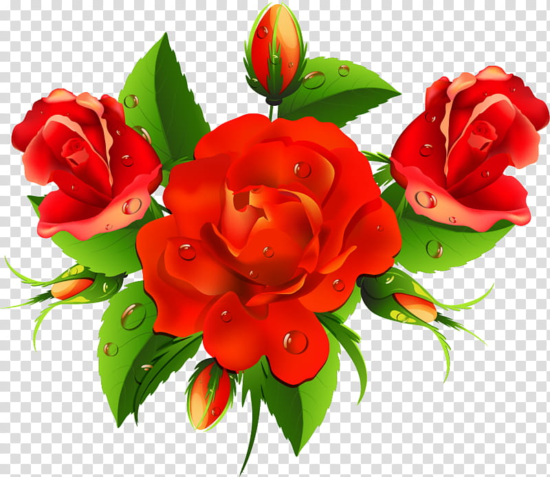 floral flowers, Red, Petal, Plant, Garden Roses, Bouquet, Rose Family, Cut Flowers transparent background PNG clipart