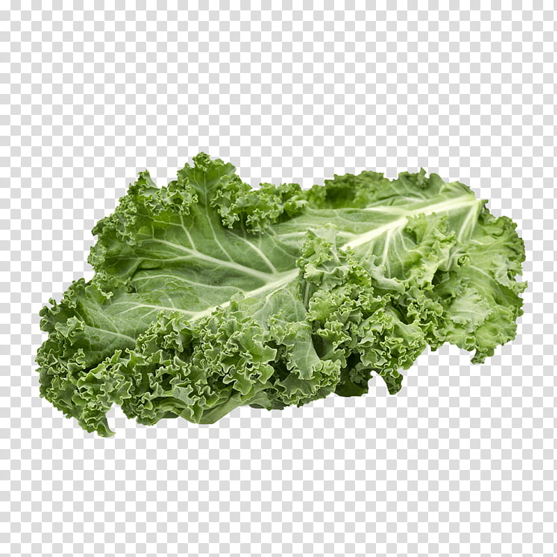Vegetables, Curly Kale, Cabbage, Food, Cabbages, Wild Cabbage, Leaf Vegetable, Romaine Lettuce transparent background PNG clipart