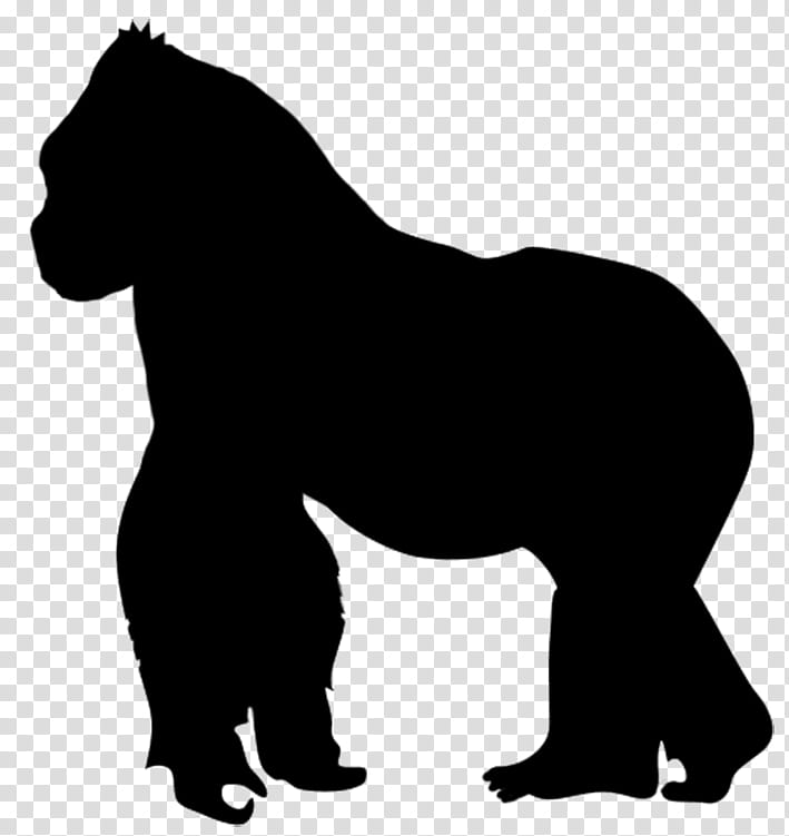 Polar Bear, Silhouette, Drawing, Koala, Grizzly Bear, Cuteness, Art Museum, Brown Bear transparent background PNG clipart