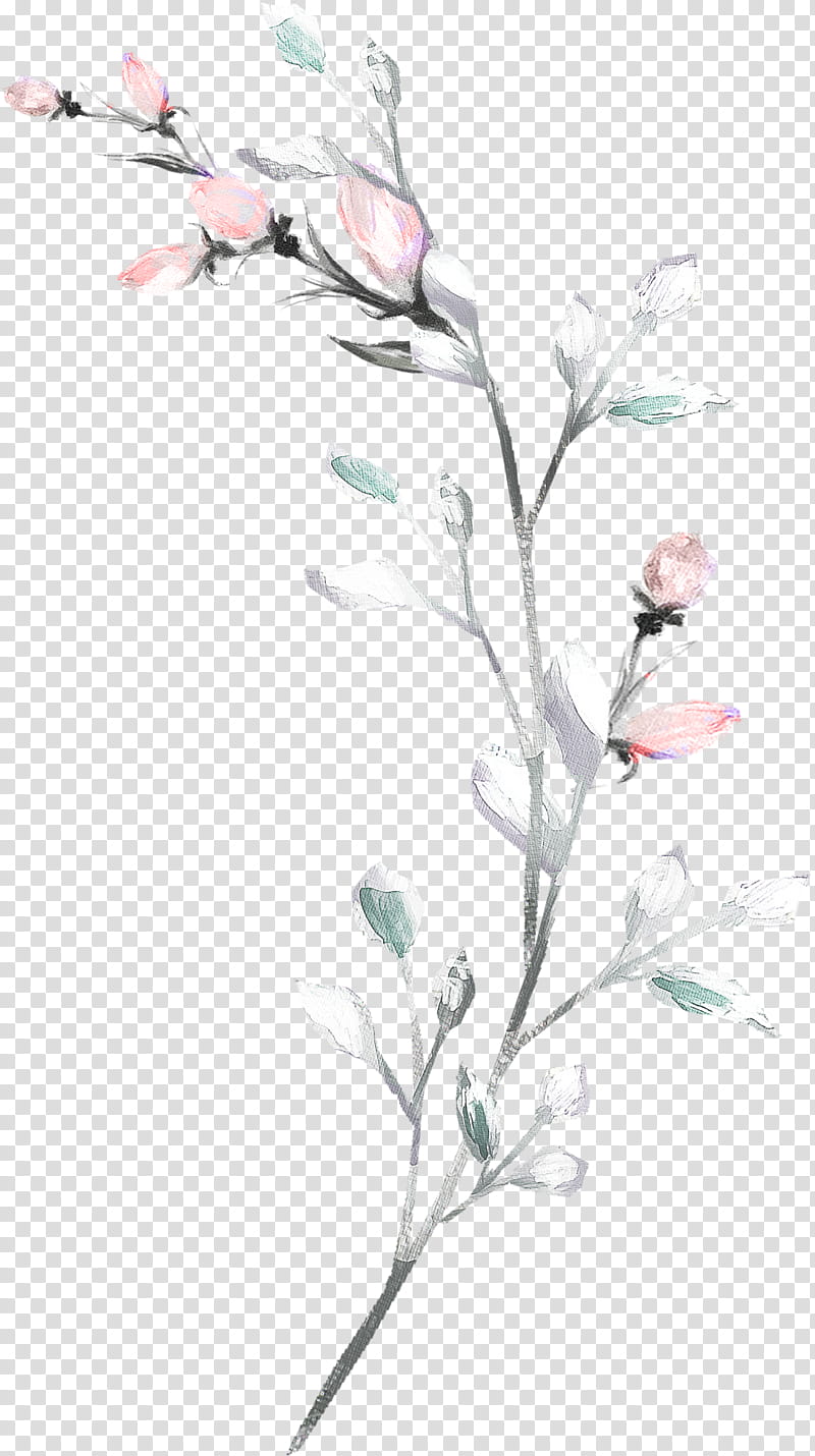 Watercolor Flower, Watercolor Painting, Drawing, Watercolour Flowers, Line Art, Editing, Plant, Branch transparent background PNG clipart