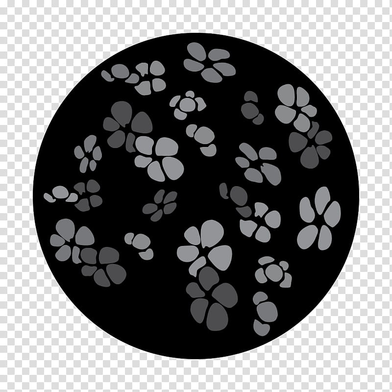 Cherry Blossom, Gobo, Lighting, Stage Lighting, Blackwhite Glass, Circle, Stencil, Theatrical Scenery transparent background PNG clipart