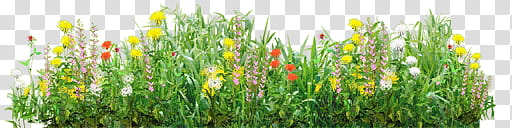 MMD PDF nd Time Machine Stage DL, green grass illustration transparent background PNG clipart