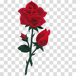 , red rose embroidery transparent background PNG clipart