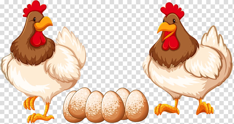 Egg, Leghorn Chicken, Rooster, Foghorn Leghorn, Chicken As Food, Painting, Poultry, Beak transparent background PNG clipart