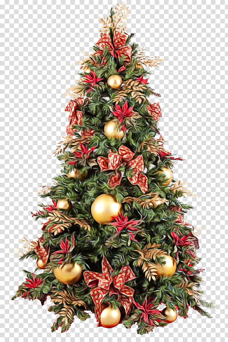 Christmas tree, Watercolor, Paint, Wet Ink, Christmas Decoration, Oregon Pine, Christmas , Colorado Spruce transparent background PNG clipart Christmas tree, Watercolor, Paint, Wet Ink, Christmas Decoration, Oregon Pine, Christmas , Colorado Spruce transparent background PNG clipart