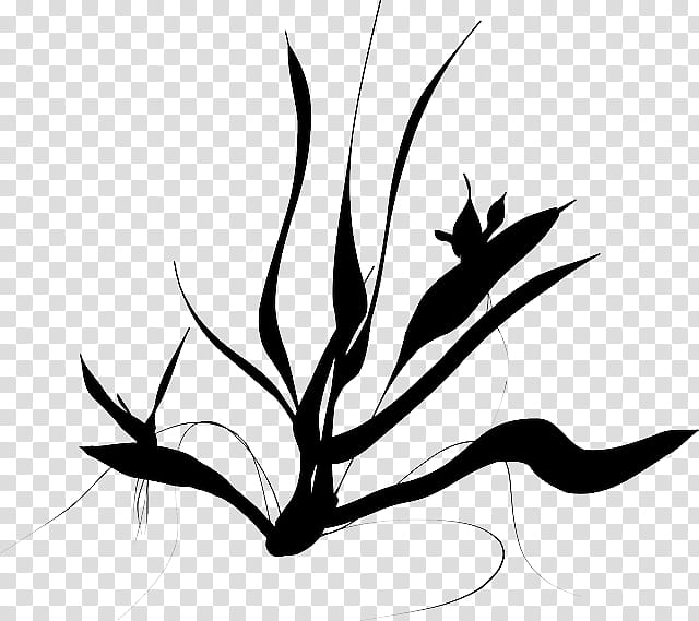 Black And White Flower, Java, Drawing, Leaf, Blackandwhite, Plant, Grass, Tree transparent background PNG clipart