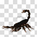 Spore creature Brontoscorpio transparent background PNG clipart