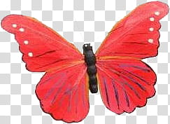 Mariposas, red butterfly transparent background PNG clipart
