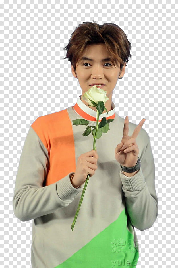 Luhan , man holding white rose flower while doing peace hand sign transparent background PNG clipart