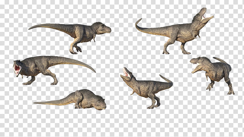 Free T Rex realistic renders, six gray dinosaurs illustration transparent background PNG clipart