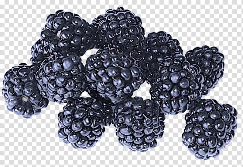 blackberry berry rubus fruit loganberry, Food, Superfood, Plant, Mulberry, Frutti Di Bosco transparent background PNG clipart