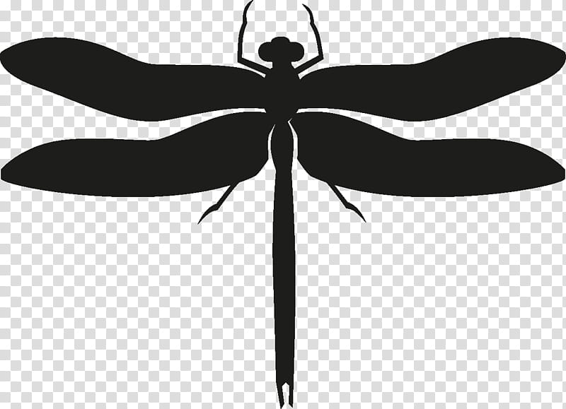 Insect Dragonflies And Damseflies, Silhouette, Dragonfly, cdr, Lepidoptera, Black, Damselfly, Blackandwhite transparent background PNG clipart