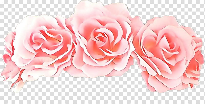 Garden roses, Cartoon, Pink, Flower, Petal, Rose Family, Hybrid Tea Rose, Plant transparent background PNG clipart