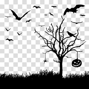 branch leaf bird flock nature, Tree, Black, White, Sky, Blackandwhite transparent background PNG clipart thumbnail