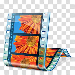 Windows Live For XP, orange-petaled flower film transparent background PNG clipart