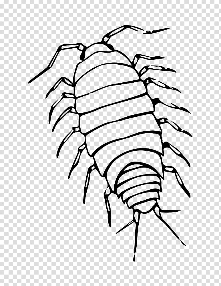 Drawing Tree, Rolypoly, Pill Bugs, Insect, Coloring Book, Line Art, Woodlouse, Isopods transparent background PNG clipart