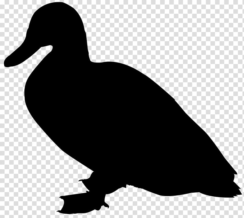 Bird Silhouette, Duck, Goose, Fowl, Beak, Water Bird, Ducks Geese And Swans, American Black Duck transparent background PNG clipart