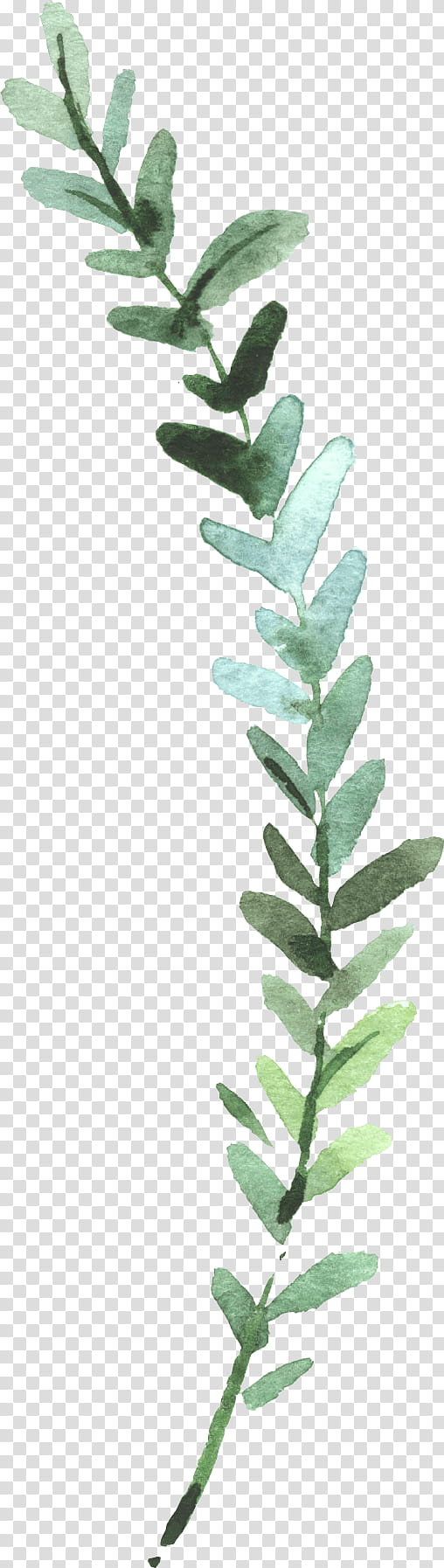 Watercolor Tree, Watercolor Painting, Leaf, Plants, Twig, Plant Stem ...