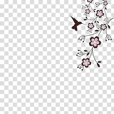 sakura, cherry blossom and humming bird transparent background PNG clipart