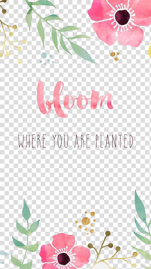 Art , bloom where you are planted transparent background PNG clipart