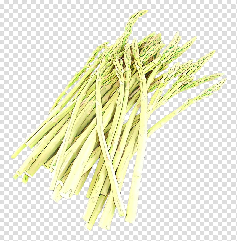 Onion, Celtuce, Welsh Onion, Stir Frying, Food, Asparagus, Vegetable, Staple Food transparent background PNG clipart